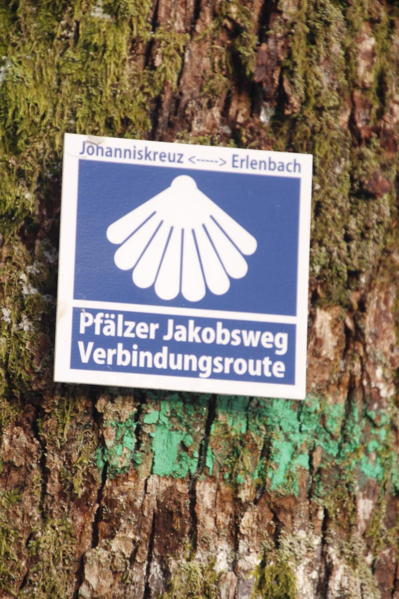דירות Rodalben Ferienwohung Am Felsenwanderweg Im Pfaelzerwald מראה חיצוני תמונה