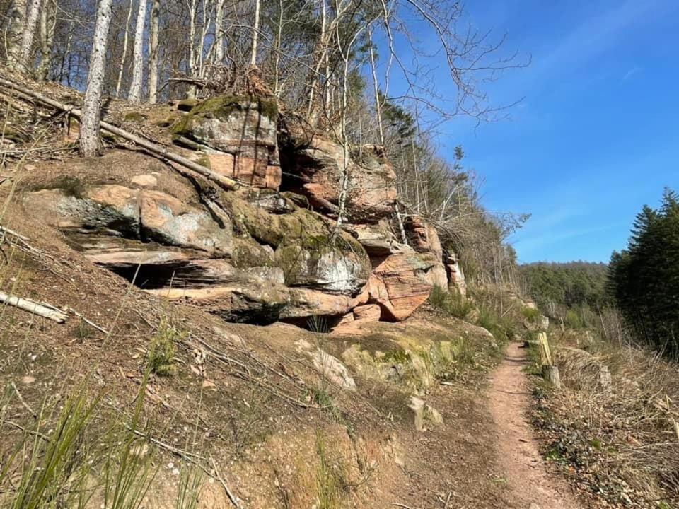 דירות Rodalben Ferienwohung Am Felsenwanderweg Im Pfaelzerwald מראה חיצוני תמונה