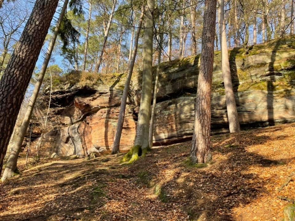 דירות Rodalben Ferienwohung Am Felsenwanderweg Im Pfaelzerwald מראה חיצוני תמונה
