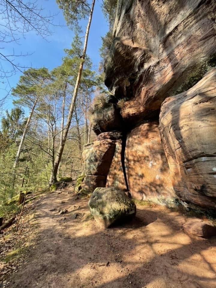 דירות Rodalben Ferienwohung Am Felsenwanderweg Im Pfaelzerwald מראה חיצוני תמונה